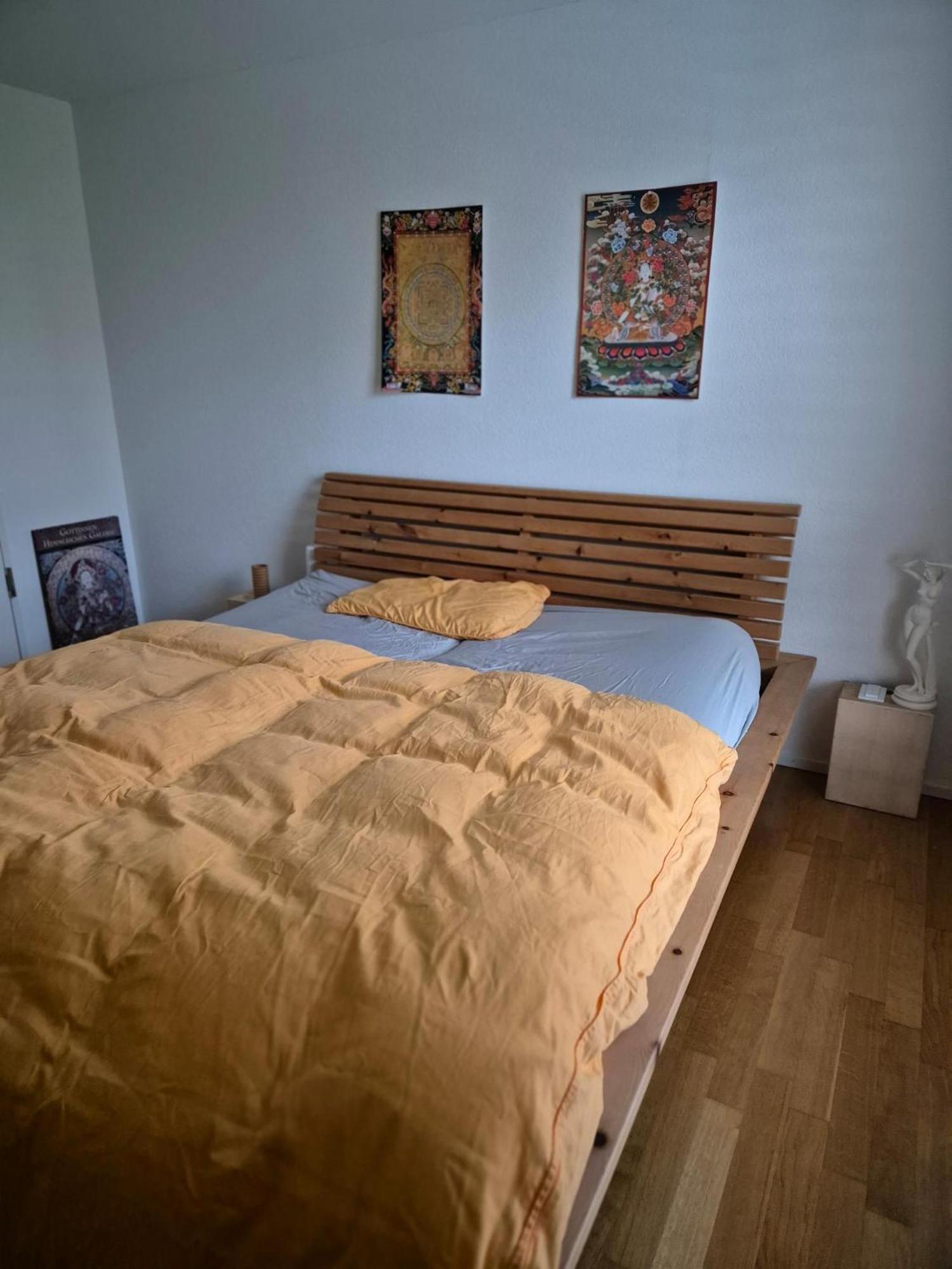 Zimmer In Penthouse-Wohnung Windisch ห้อง รูปภาพ