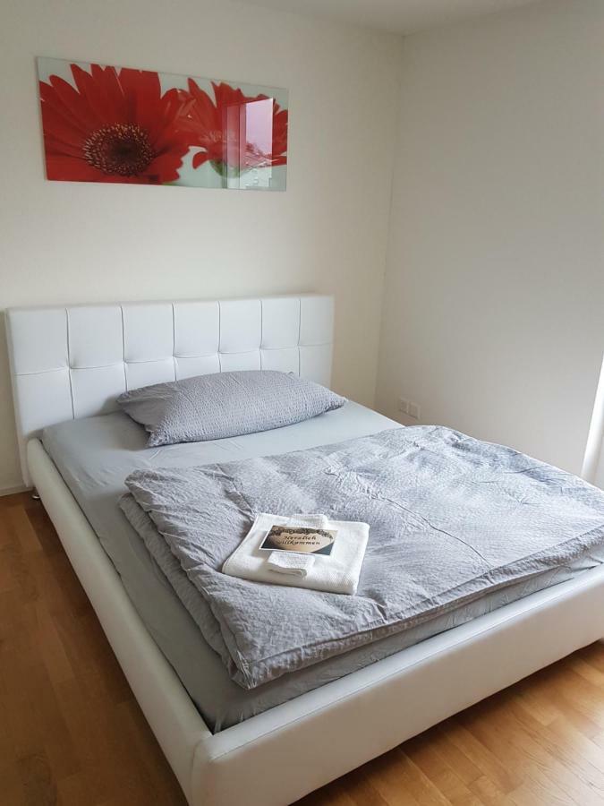 Zimmer In Penthouse-Wohnung Windisch ภายนอก รูปภาพ