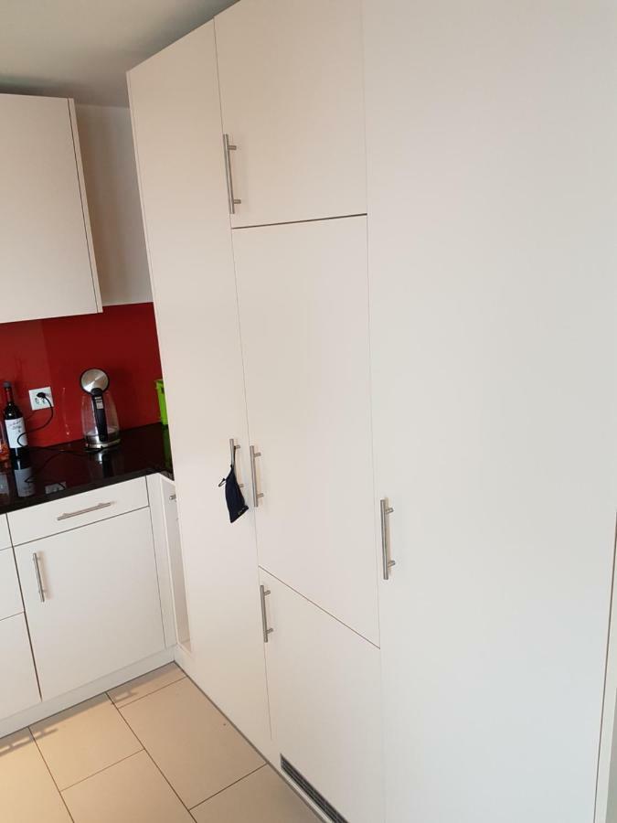 Zimmer In Penthouse-Wohnung Windisch ภายนอก รูปภาพ