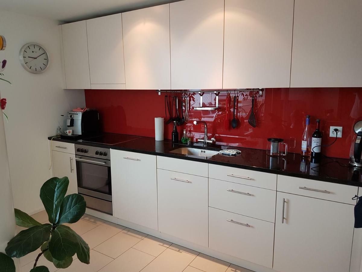 Zimmer In Penthouse-Wohnung Windisch ภายนอก รูปภาพ