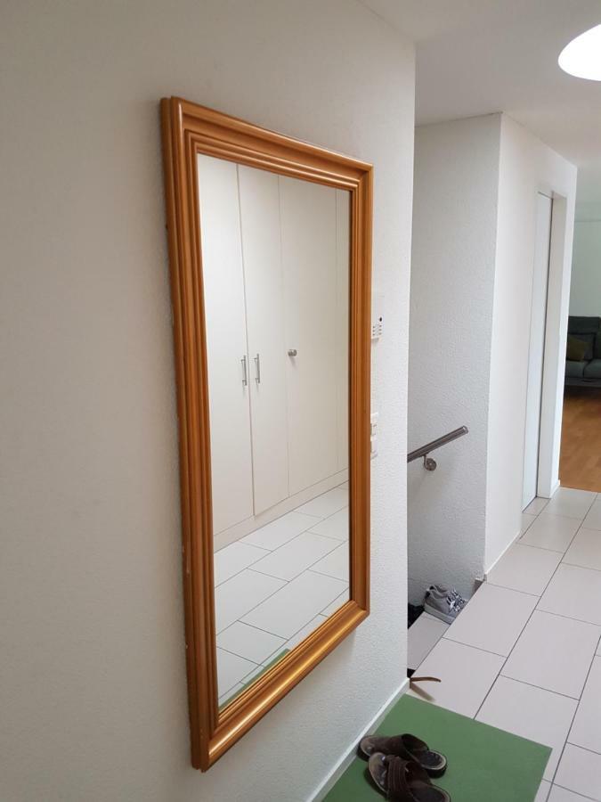 Zimmer In Penthouse-Wohnung Windisch ภายนอก รูปภาพ