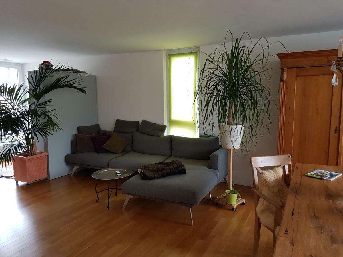 Zimmer In Penthouse-Wohnung Windisch ภายนอก รูปภาพ