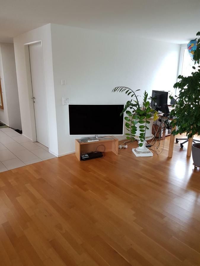 Zimmer In Penthouse-Wohnung Windisch ภายนอก รูปภาพ