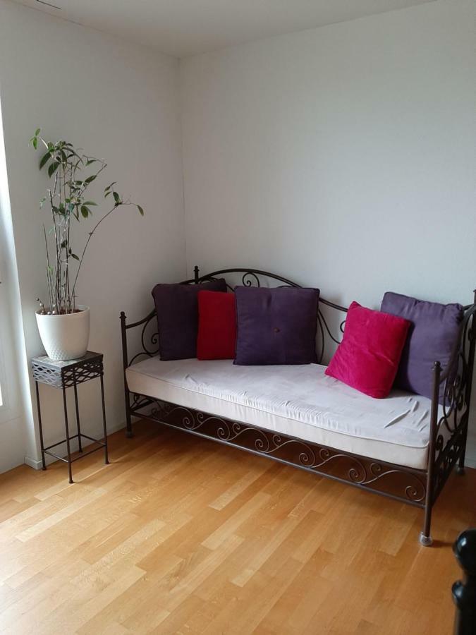 Zimmer In Penthouse-Wohnung Windisch ภายนอก รูปภาพ