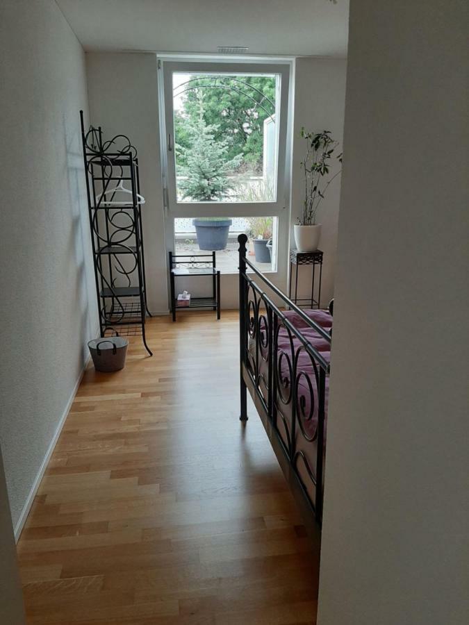 Zimmer In Penthouse-Wohnung Windisch ภายนอก รูปภาพ