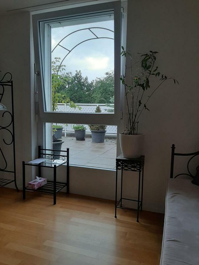Zimmer In Penthouse-Wohnung Windisch ภายนอก รูปภาพ