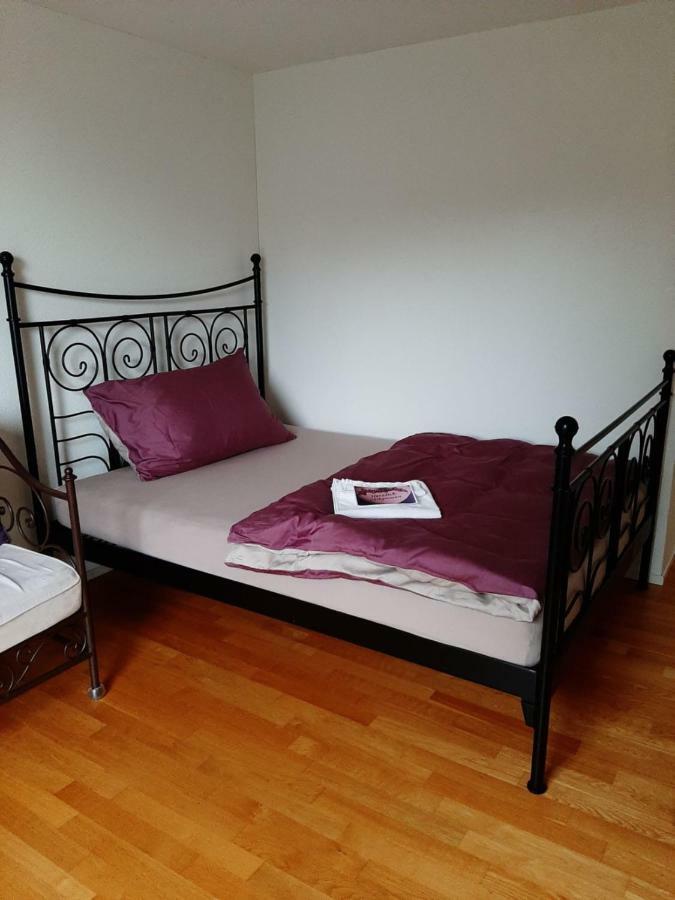 Zimmer In Penthouse-Wohnung Windisch ภายนอก รูปภาพ